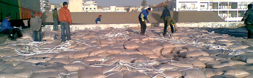 TIPIC: Tunisian International Protection and Indemnity Correspondent